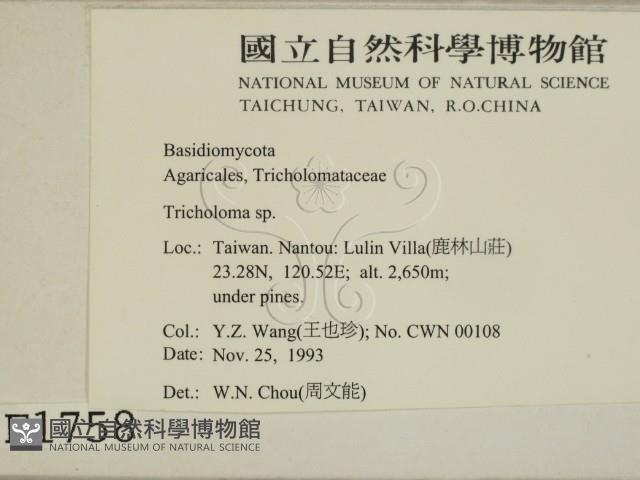 登錄號:F0001758藏品圖，第2張