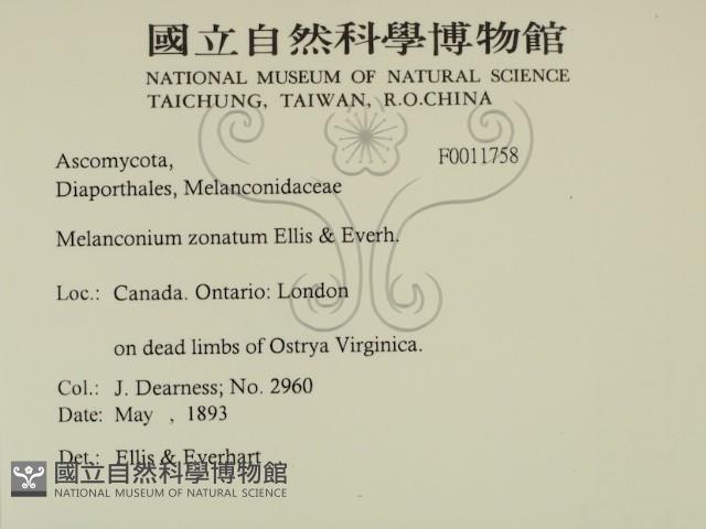 登錄號:F0011758藏品圖，第2張