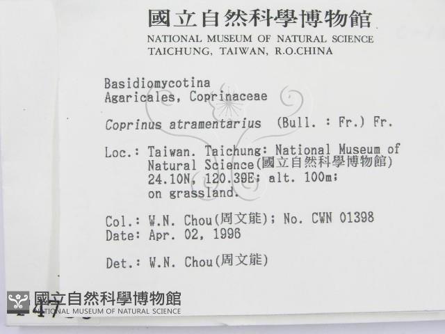 登錄號:F0004758藏品圖，第2張