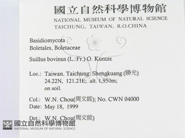 登錄號:F0012758藏品圖，第2張