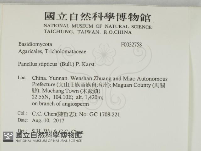 登錄號:F0032758藏品圖，第2張