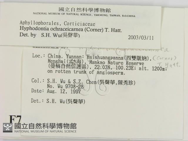 登錄號:F0007758藏品圖，第2張