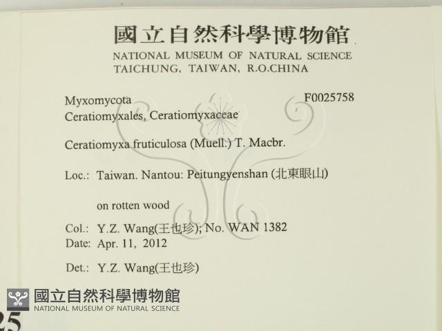 登錄號:F0025758藏品圖，第2張