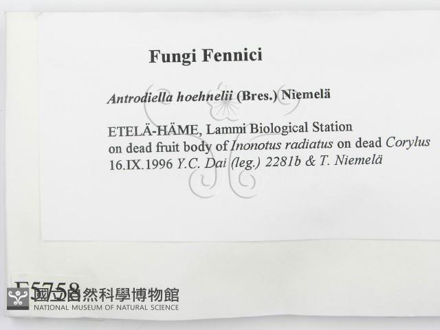 登錄號:F0005758藏品圖，第2張