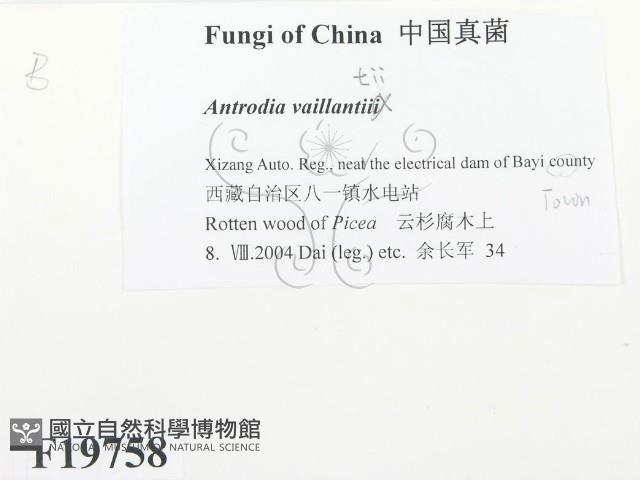 登錄號:F0019758藏品圖，第2張