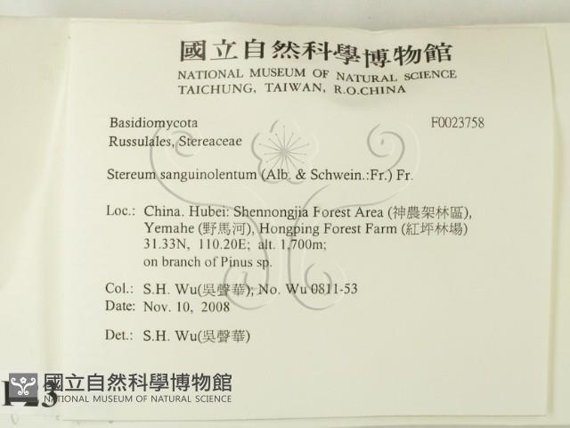 Accession Number:F0023758 Collection Image, Figure 2, Total 3 Figures