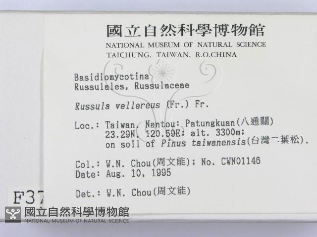 登錄號:F0003758藏品圖，第2張