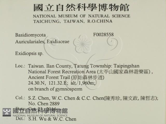 登錄號:F0028558藏品圖，第2張