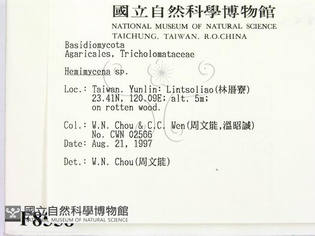 登錄號:F0008558藏品圖，第2張