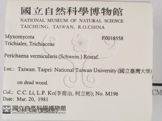 登錄號:F0018558藏品圖，第2張