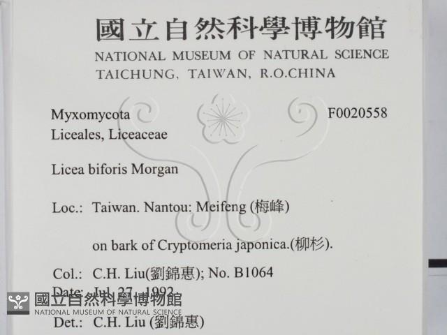 登錄號:F0020558藏品圖，第2張