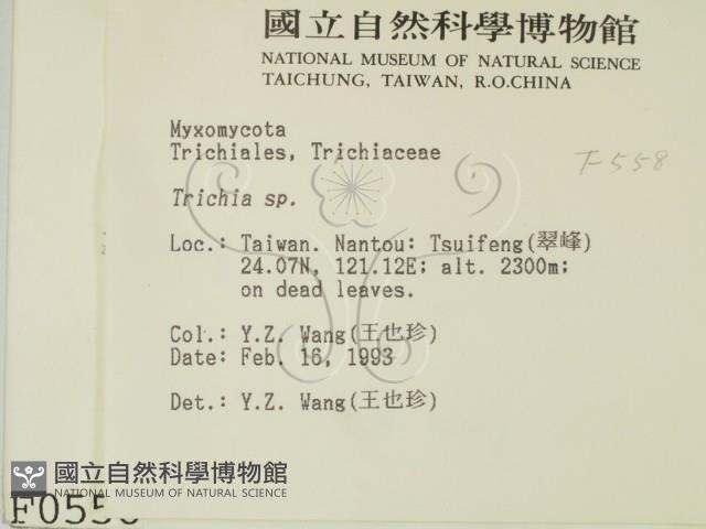 登錄號:F0000558藏品圖，第2張