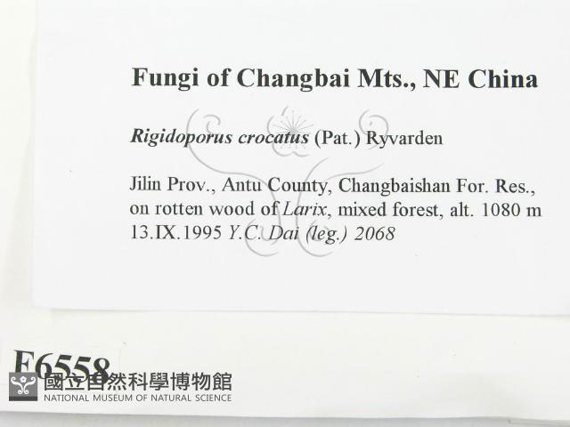 登錄號:F0006558藏品圖，第2張