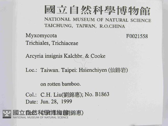 登錄號:F0021558藏品圖，第2張