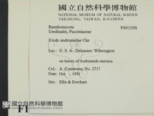登錄號:F0011558藏品圖，第2張