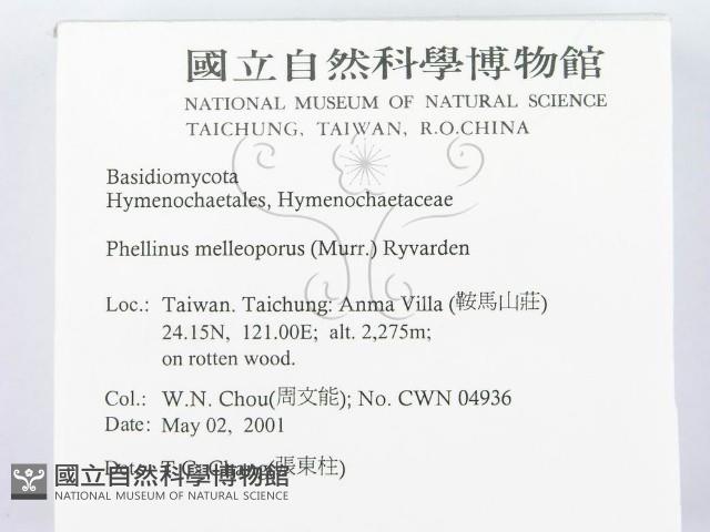 登錄號:F0014558藏品圖，第2張