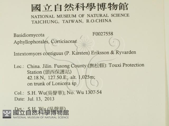 登錄號:F0027558藏品圖，第2張