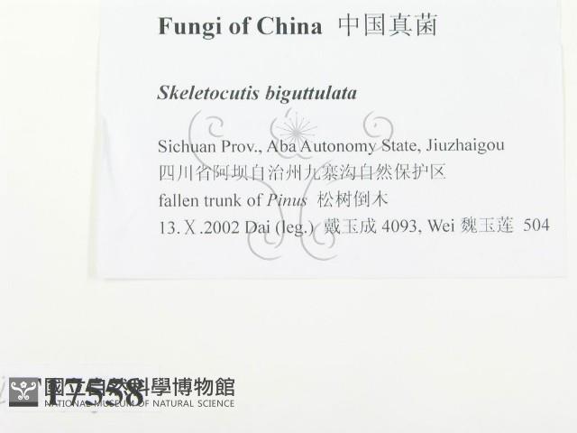 登錄號:F0017558藏品圖，第2張