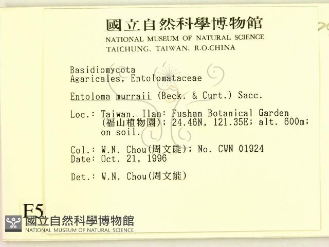 登錄號:F0005558藏品圖，第2張