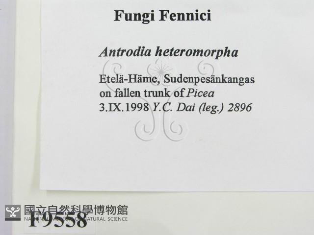 登錄號:F0009558藏品圖，第2張
