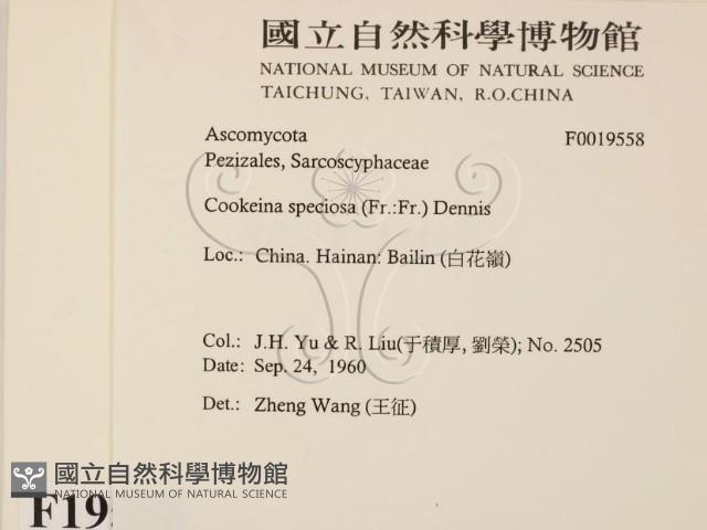 登錄號:F0019558藏品圖，第2張
