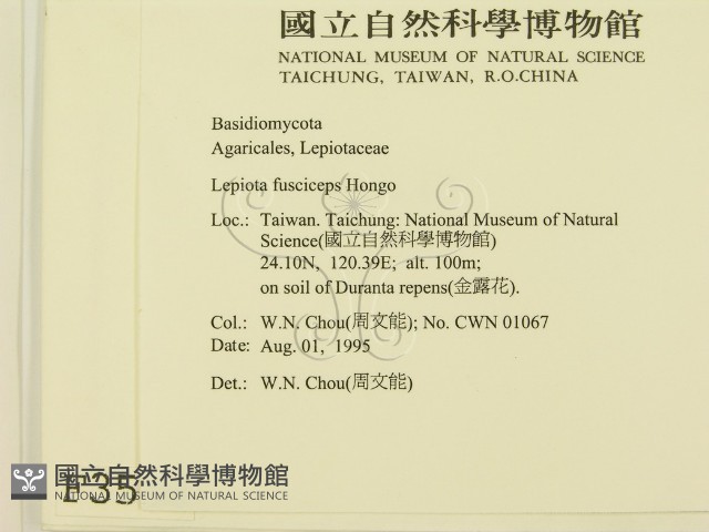 登錄號:F0003558藏品圖，第2張