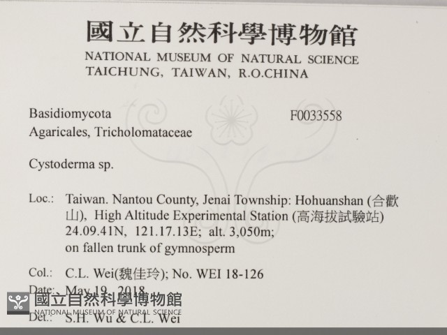 登錄號:F0033558藏品圖，第2張