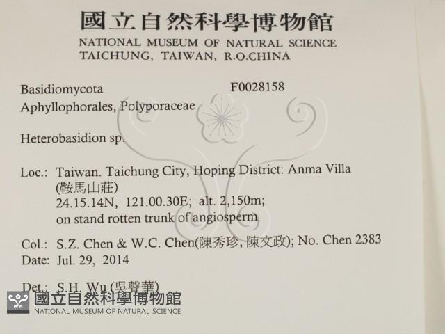 登錄號:F0028158藏品圖，第2張