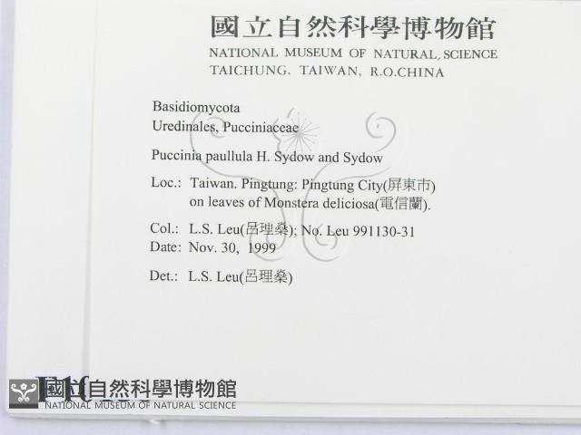 登錄號:F0010158藏品圖，第2張