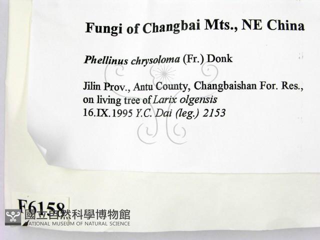 登錄號:F0006158藏品圖，第2張