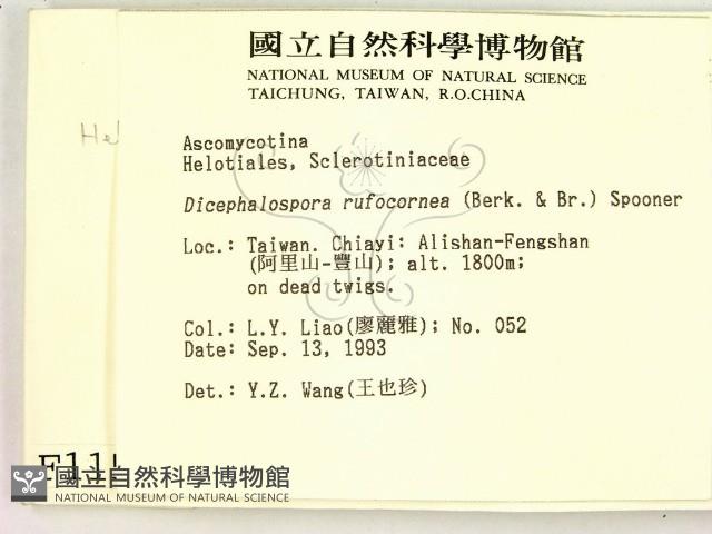 登錄號:F0001158藏品圖，第2張