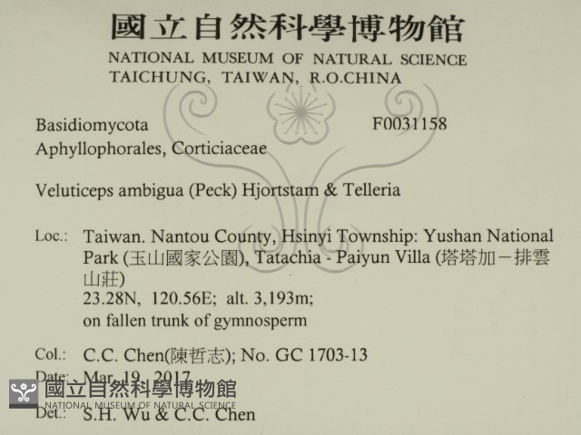 登錄號:F0031158藏品圖，第2張