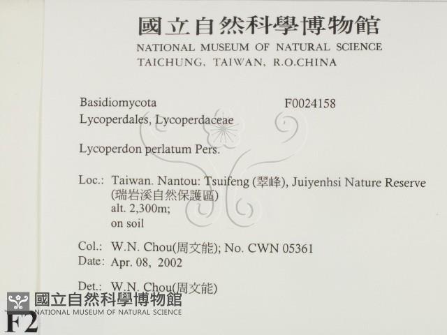 登錄號:F0024158藏品圖，第2張