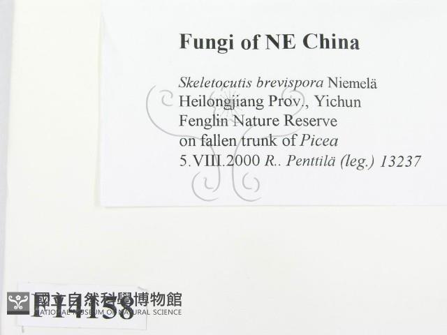 登錄號:F0014158藏品圖，第2張