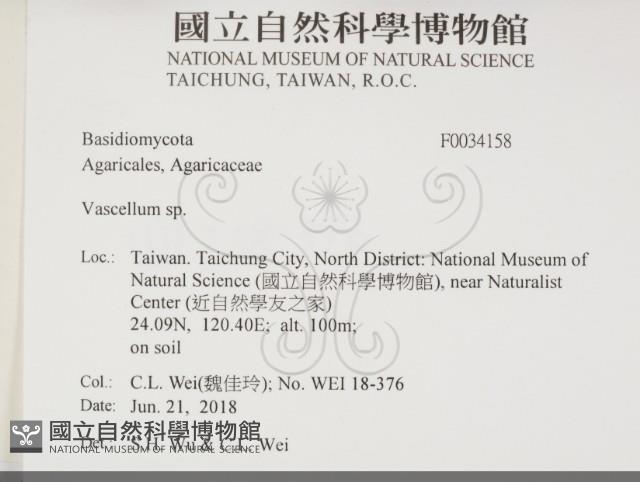 登錄號:F0034158藏品圖，第2張