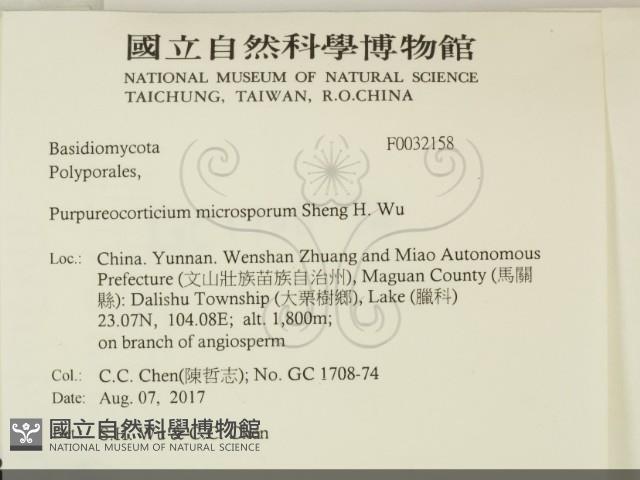 登錄號:F0032158藏品圖，第2張