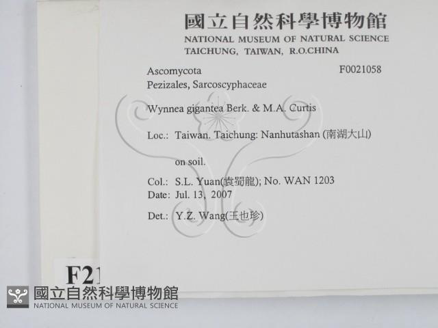 登錄號:F0021058藏品圖，第2張
