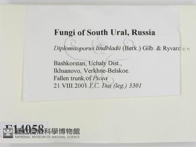 登錄號:F0014058藏品圖，第2張