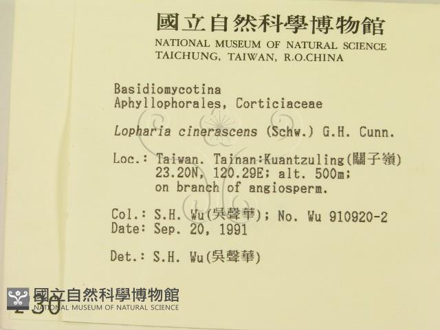 登錄號:F0003058藏品圖，第2張