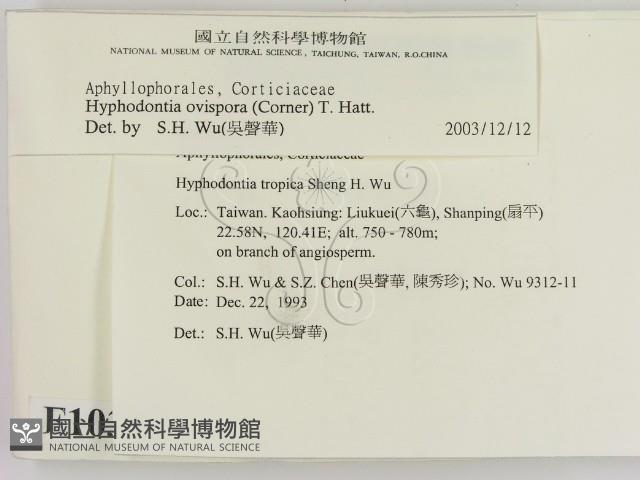 登錄號:F0010358藏品圖，第2張