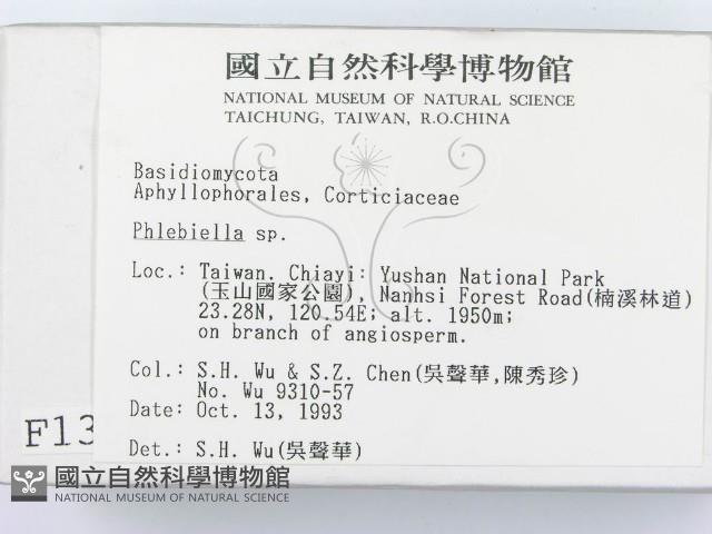 登錄號:F0001358藏品圖，第2張