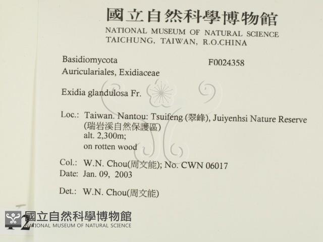 登錄號:F0024358藏品圖，第2張