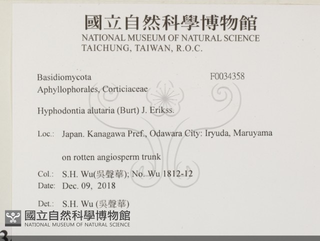 登錄號:F0034358藏品圖，第2張