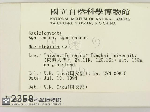 登錄號:F0002358藏品圖，第2張