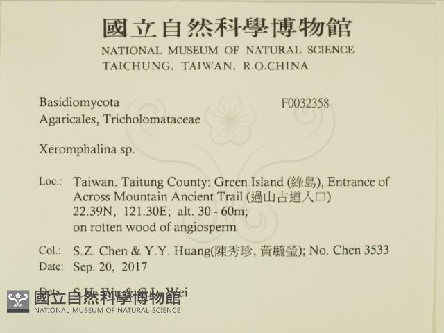 登錄號:F0032358藏品圖，第2張