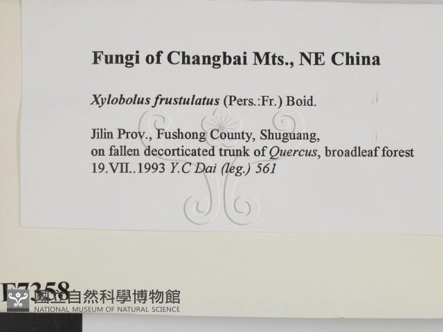 登錄號:F0007358藏品圖，第2張