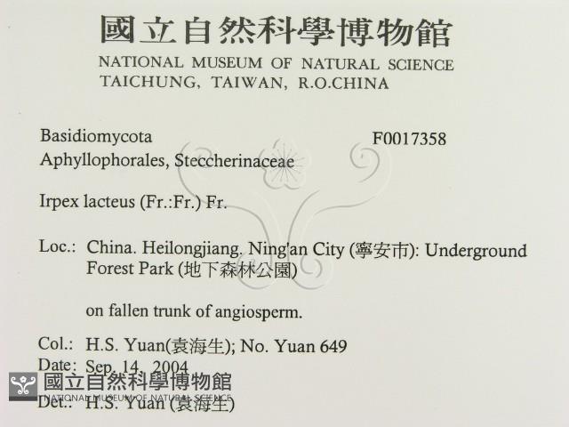 登錄號:F0017358藏品圖，第2張