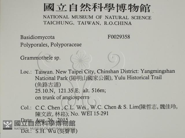 登錄號:F0029358藏品圖，第2張