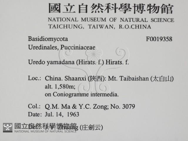 登錄號:F0019358藏品圖，第2張