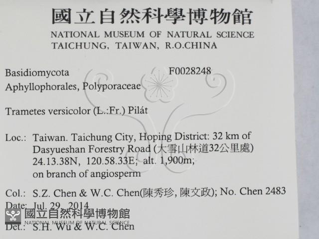雲芝藏品圖，第2張